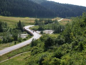 Sequoia-Auto-Insurance-Review Sequoia Auto Insurance Mountain Road