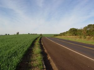 is discount auto insurance right for me